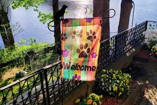 20 Litchfield Ave, Norfolk, MA 02056 - Photo 24