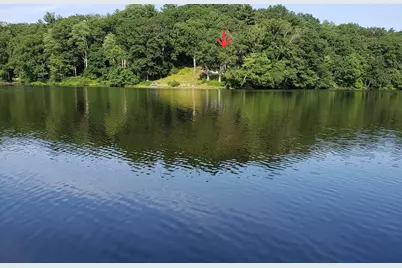 20 Litchfield Ave, Norfolk, MA 02056 - Photo 1