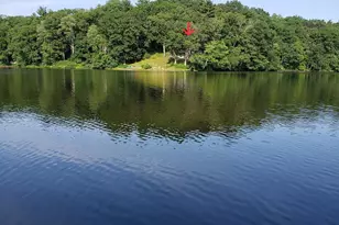 20 Litchfield Ave, Norfolk, MA 02056 - Photo 1