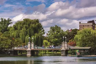 300 Boylston, Boston, MA 02116 - Photo 16