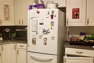 40 Forest St, Boston, MA 02119 - Photo 4