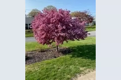 21 Brae Burn Ln, Yarmouth, MA 02664 - Photo 8