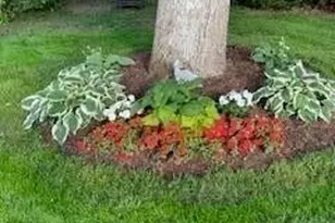 21 Brae Burn Ln, Yarmouth, MA 02664 - Photo 6