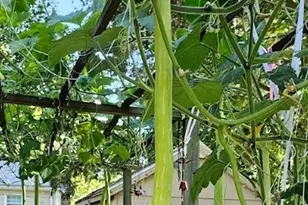 560 Worcester St, Wellesley, MA 02481 - Photo 38