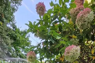 560 Worcester St, Wellesley, MA 02481 - Photo 38