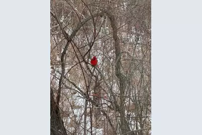 65 Brookdale Cir #65, Shrewsbury, MA 01545 - Photo 34