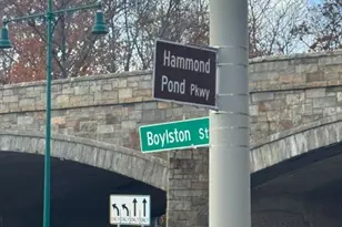 31 Hammond Pond Pkwy, Boston, MA 02467 - Photo 10