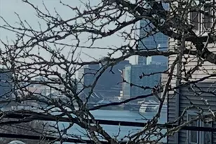 158 Webster St, Boston, MA 02128 - Photo 32