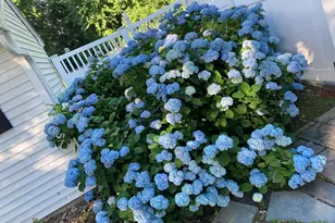 12 Heritage Ln, Lynnfield, MA 01940 - Photo 32