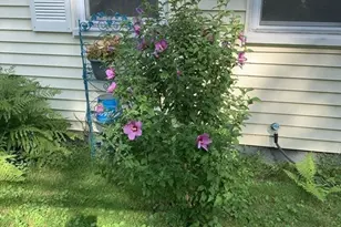 242 Pleasant St, Leominster, MA 01453 - Photo 30
