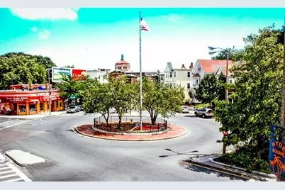 390 Centre Street, Boston, MA 02130 - Photo 10