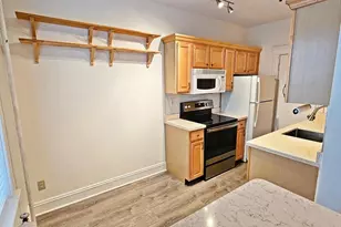 374 Chestnut Hill Ave, Boston, MA 02135 - Photo 4