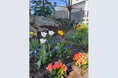 60 Roy St, Swampscott, MA 01907 - Photo 4