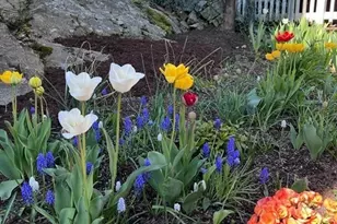 60 Roy St, Swampscott, MA 01907 - Photo 4