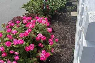 60 Roy St, Swampscott, MA 01907 - Photo 42