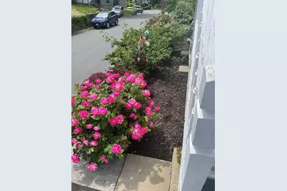 60 Roy St, Swampscott, MA 01907 - Photo 40