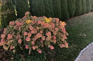 2 Breezy Point Rd, Gloucester, MA 01930 - Photo 42