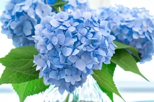 75 Jordan Rd, Franklin, MA 02038 - Photo 42