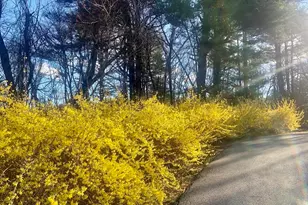 5 Cobblers Ln, Ipswich, MA 01938 - Photo 32