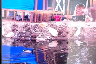 463 Holtshire Rd, Orange, MA 01364 - Photo 14