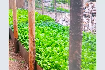 463 Holtshire Rd, Orange, MA 01364 - Photo 12