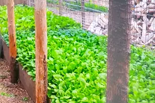 463 Holtshire Rd, Orange, MA 01364 - Photo 12