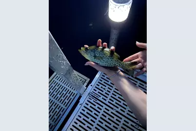 864 South Rd, Ashby, MA 01431 - Photo 22