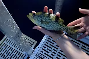 864 South Rd, Ashby, MA 01431 - Photo 22