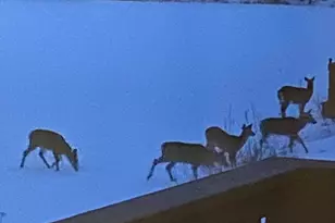 864 South Rd, Ashby, MA 01431 - Photo 28