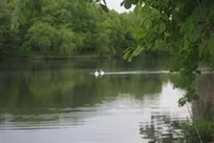 99 Pond Ave, Brookline, MA 02445 - Photo 14