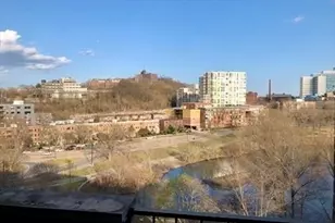 33 Pond Ave, Brookline, MA 02445 - Photo 10