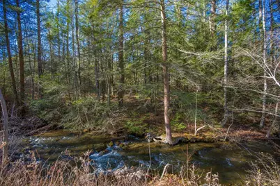 0 Goose Pond Road, Tyringham, MA 01264 - Photo 6