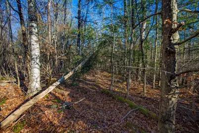 0 Goose Pond Road, Tyringham, MA 01264 - Photo 8