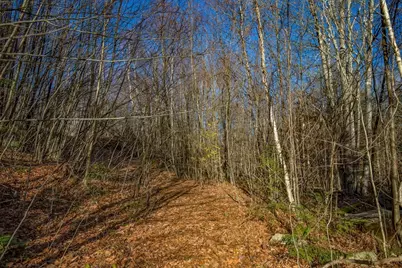 0 Goose Pond Road, Tyringham, MA 01264 - Photo 1