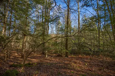 0 Goose Pond Road, Tyringham, MA 01264 - Photo 10