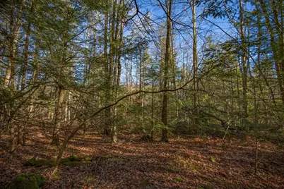 0 Goose Pond Road, Tyringham, MA 01264 - Photo 10