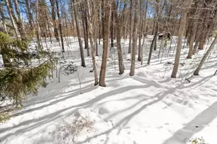 27 Fox Run Rd, Bedford, MA 01730 - Photo 40