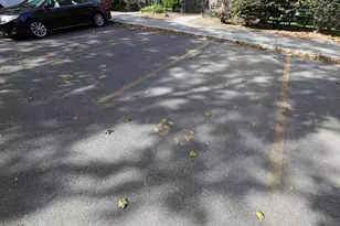 32 Juniper St, Brookline, MA 02445 - Photo 22