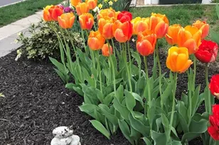 259 Washington St, Winchester, MA 01890 - Photo 38