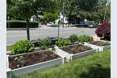 259 Washington Street, Winchester, MA 01890 - Photo 38