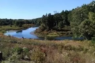 3 Niantic St, Medfield, MA 02052 - Photo 42