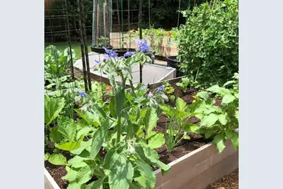 81 Parish Rd, Needham, MA 02494 - Photo 38