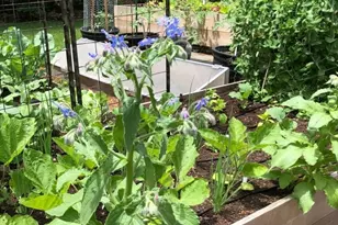 81 Parish Rd, Needham, MA 02494 - Photo 42