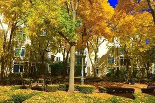 7 Cameron, Cambridge, MA 02140 - Photo 8