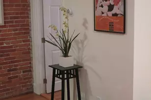 631 Tremont, Boston, MA 02118 - Photo 4