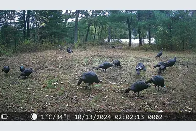 70 Summer Street, Palmer, MA 01079 - Photo 10