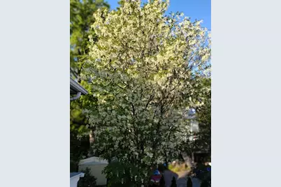 10 Marrigan St, Arlington, MA 02474 - Photo 42