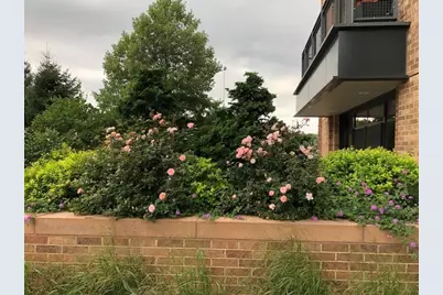 2400 Beacon #102, Boston, MA 02467 - Photo 2