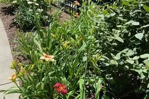 2400 Beacon, Boston, MA 02467 - Photo 8