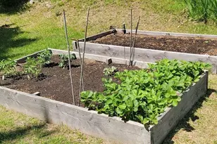 28 Walworth St, Worcester, MA 01602 - Photo 38